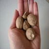 Best Quality Nutmeg