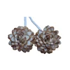 Decoration Purpose Best Quality High Demand Sola Wood Flower