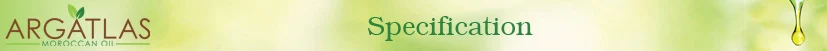 Spec.jpg