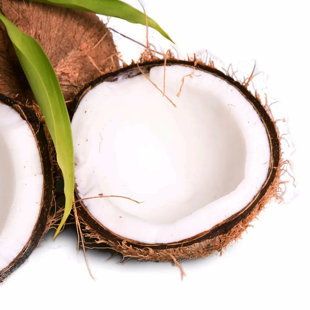 Natural Fresh Matured Coconut Semi Husked From Indonesia Buy Coconut