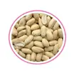 Blanched Type Peanut