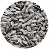 /product-detail/sunflower-seeds-from-ukraine-50045853971.html