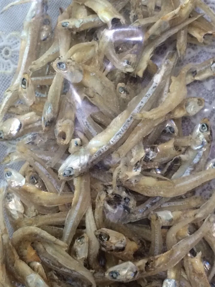 Cuttlefish Bone Cuttlebone Cuttle Fish Bones Dried Squid Bone In