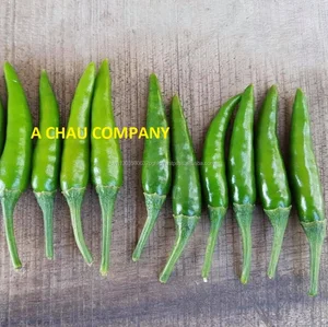 vietnam fresh small green chilli for sale pepper with factory