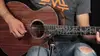 For-Taylor Presentation Series PS14ce Milagro Brazilian Rosewood 2018 Natural