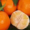 Fresh Mandarin Orange top quality