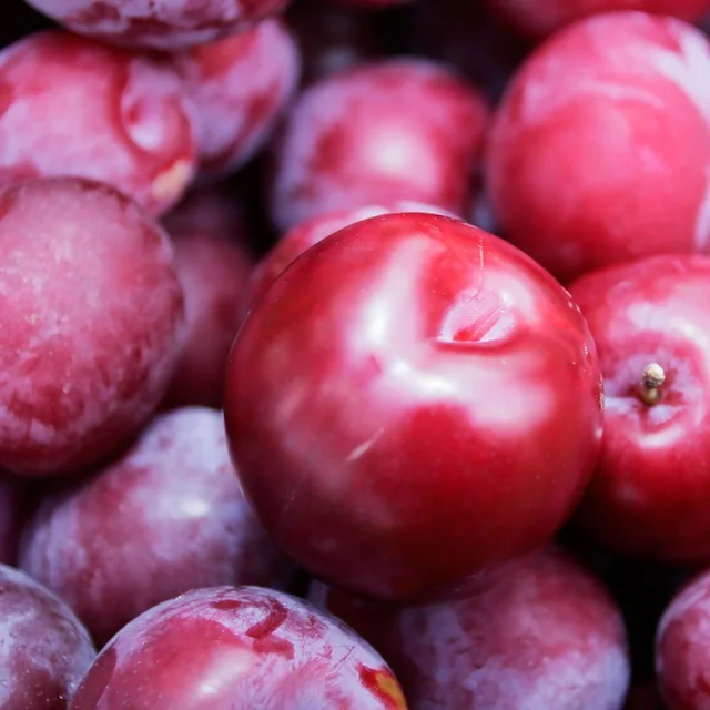 red beauty plum