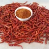 /product-detail/chili-red-dry-powder-spicy-signature-taste-from-northeast-thailand--50045959638.html