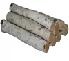 Decorative Birch Logs for sale at good prices .