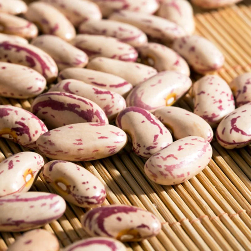 Sugar Beans In South Africa/ Price For Sugar Beans/ Light Speckled Kidney Beans/ Lskb Buy