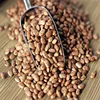 Kidney Beans /Light Speckled/ Kidney Bean Size /200-220,Dry Pinto