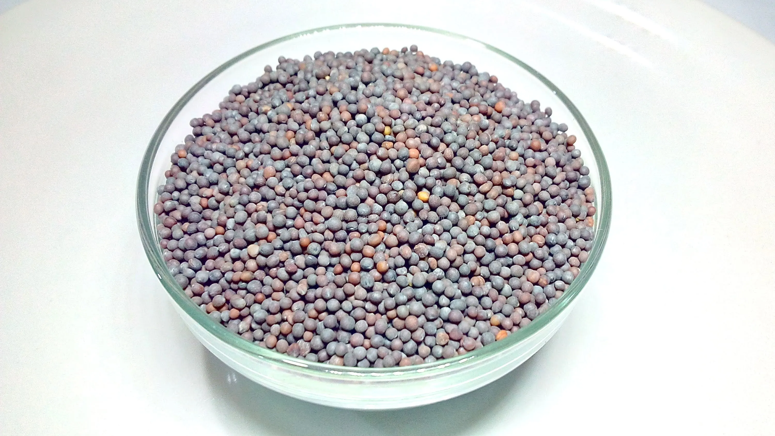 BLACK MUSTARD 12.jpg