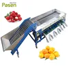 Roller Type Size Grader Mango Sorting Machine, Mango Grading Machine, Mango Fruit Classifying Machine
