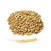HIGHT QUALITY NUTRITION GRAIN PRICE PRODUCTS WHOLE WHEAT