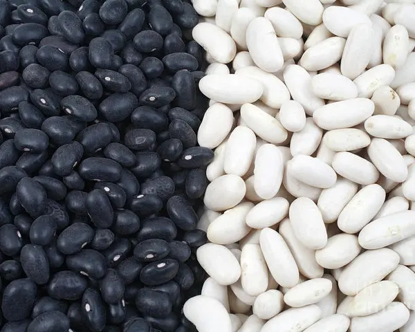 White  Black Beans.jpg