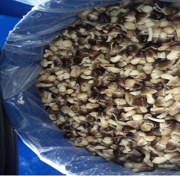 pickled gherkins size 2-5 cm in bulk