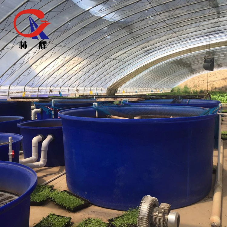 1000gallon Round Large Open Top Aquaculture Plastic Fish Farm Tank For