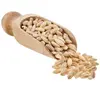 Organic Wheat Groats From Natural Wheat