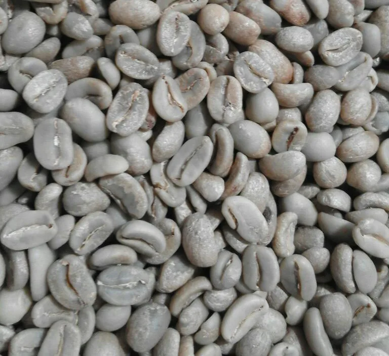 sumatra beans