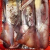 HIGH QUALITY FROZEN BLACK SQUID FROM VIET NAM