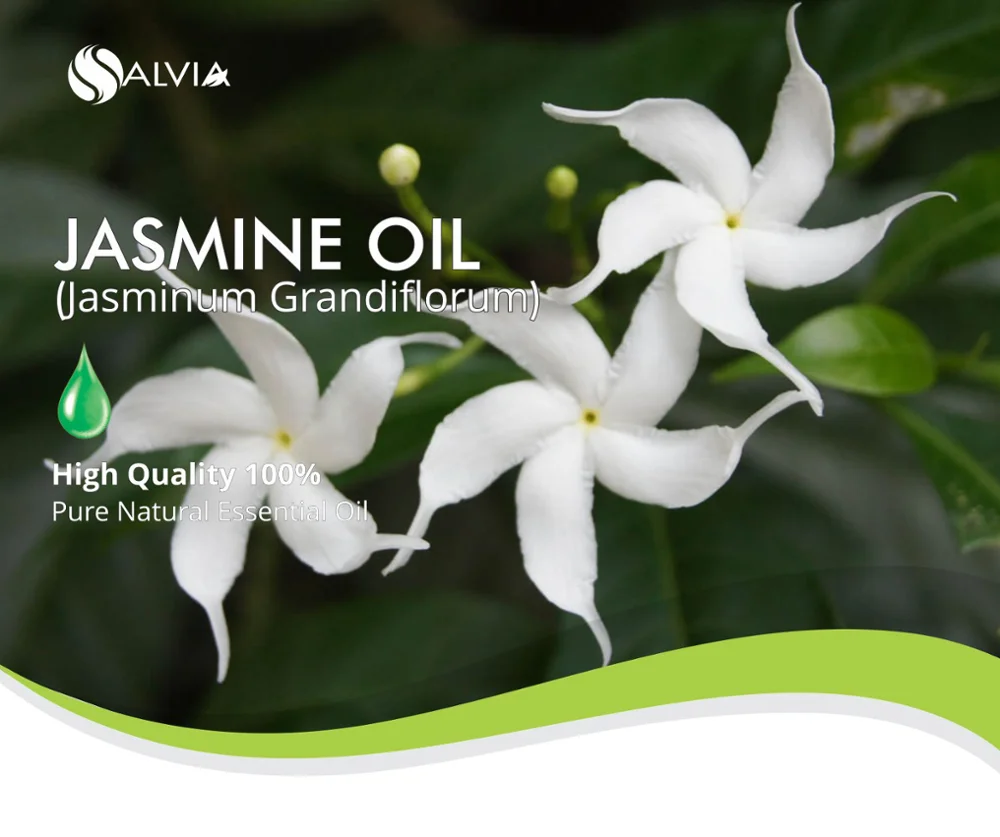 100 Pure And Natural Jasmine Oil (jasminum Grandiflorum) Buy 100 