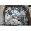 Easily Avail 2018 New Product Cuttlefish Normal sizes and get Ready To Stock