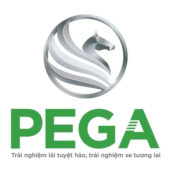 PEGA LTT GLOBAL ELECTRIC BIKE JOINT STOCK COMPANY electric bike, e bike