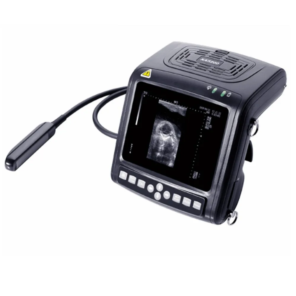 Portable Diagnostic Ultrasound Machine With Excellent Probe By Darppon