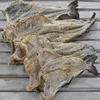 Dry Stock Fish Cod tuna fish High quality For market ..