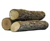 New Arrival Fresh Cut Teak Round Wood Logs, Teak Wood Logs
