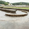 Specialized Bacteria for treatment of sewage wastes in small Sewage Treatment plant
