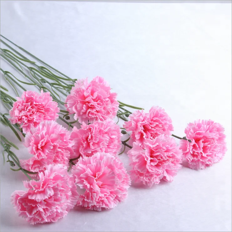 カーネーションの花 Buy 人工カーネーションの花 カーネーション石鹸の花 保存カーネーションの花 Product On Alibaba Com