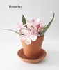 Bestory Mini Clay Pot Terracotta Pot Clay Ceramic Pottery Planter Cactus Flower Pot Great for plant crafts and wedding fairs.
