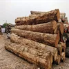 /product-detail/wood-logs-best-price-of-pine-logs-timber-from--50044994928.html