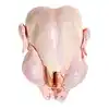 /product-detail/hala-chicken-feet-frozen-chicken-paws-brazil-chicken-wings-62000748965.html