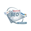 Web Site SEO Google In India