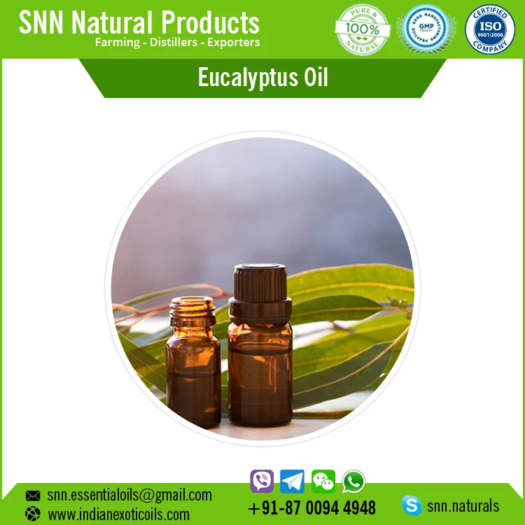 Pure Eucalyptus Oil 99 At Bulk Price Buy Eucalyptus Oil 99