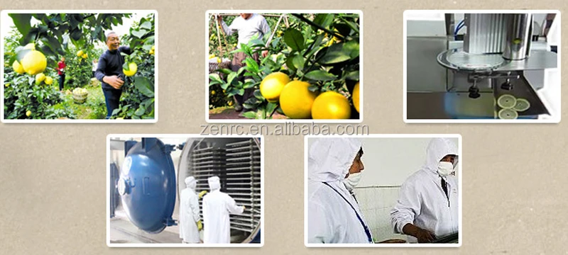 Hot Selling Freeze-drying Lemon Slice for Daily Health Care Detox Tea