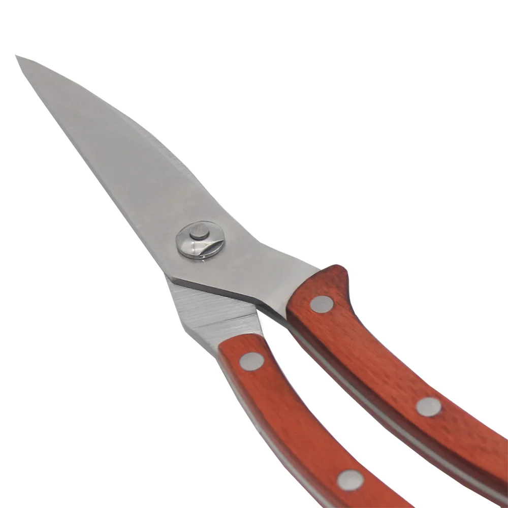 Stainless Steel Kitchen Scissors Multifunction Poultry Bone Cutter