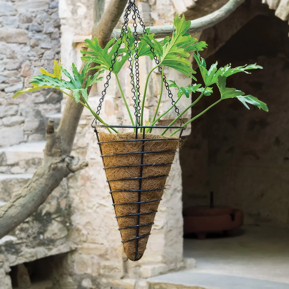 CONE 12 INCH.jpg