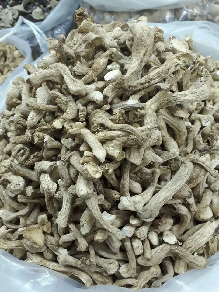 High Quality Dried Shiitake Mushroom Fungus Stem Ms. Esther (whatsapp