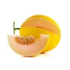 CANARY YELLOW MELON WITH GOLDEN SKIN HONEY DEW