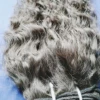 brazilian virgin Human hair Modernn Concepts