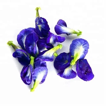 Dried Flower Flavor Tea Erfly Pea Blue Color Dried Flower Flavor Tea Erfly Pea Blue Color