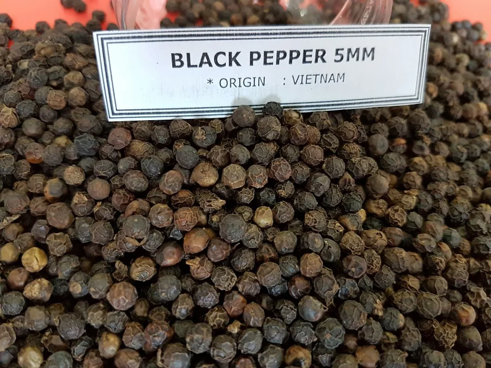 Vietnam Black Pepper 500g/l Faq/ Machine Cleaned/ Asta High Quality Low
