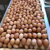 /product-detail/fresh-chicken-table-eggs-62007269948.html