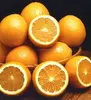 Navel orange with leaves for Russian