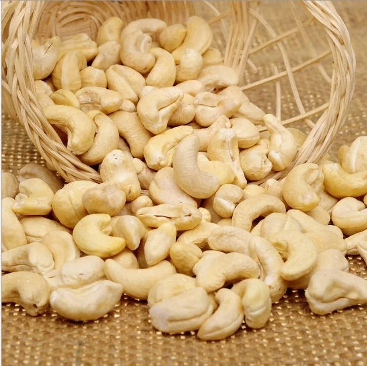 Bb Cashew Nut From Mozambique New Crop Good Quality Buy Raw