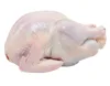 /product-detail/halal-whole-frozen-chicken-62000072603.html