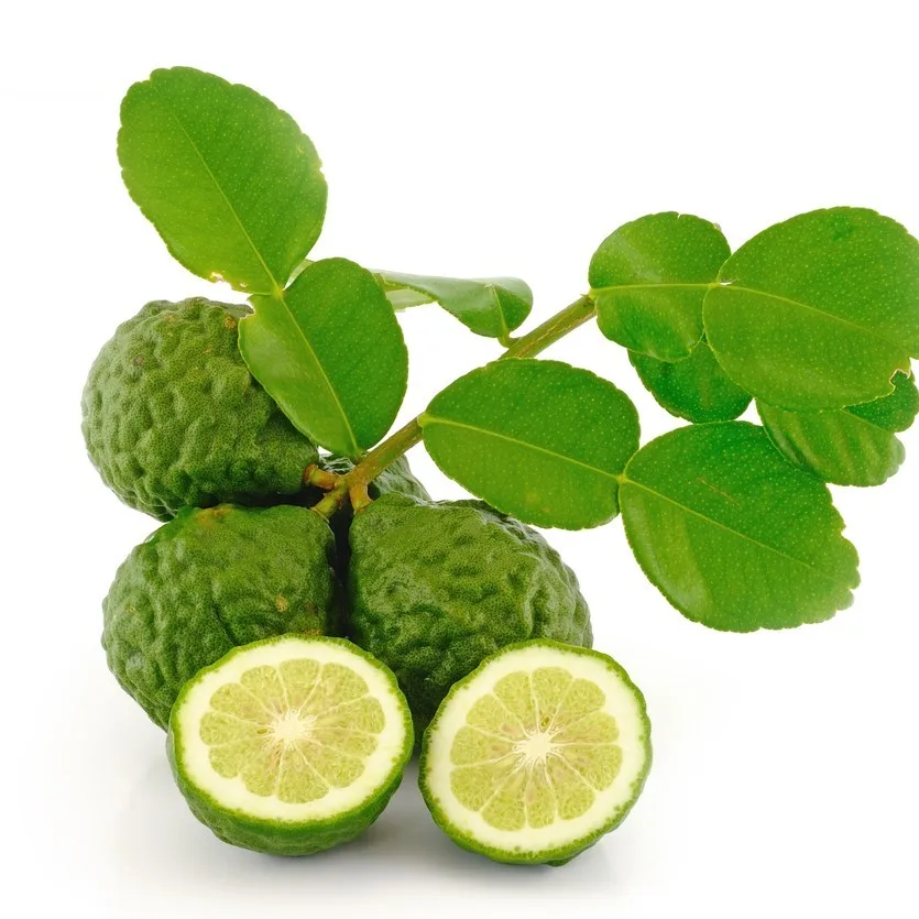kaffir lime and its leaves